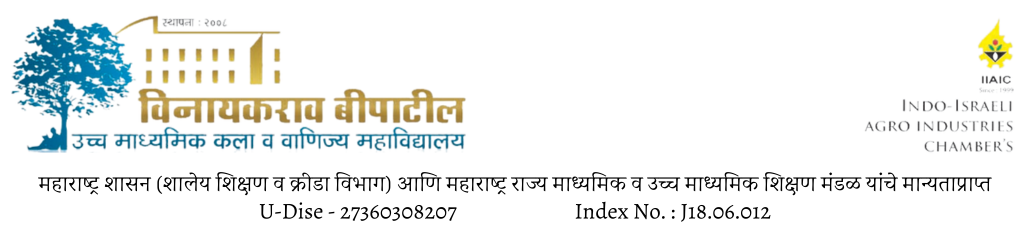 Vinayakrao B Patil Junior College